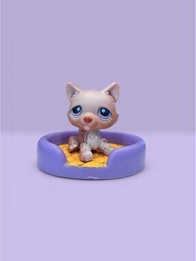 Littlest Pet Shop Husky #38 with Purple Bed Accessory LPS